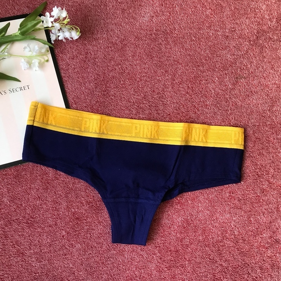 Victoria's Secret PINK Mesh Waist Cheekster Panty - Picture 2 of 3